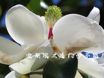 逾期竣工违约金不能超多少 逾期竣工违约金不能超多少