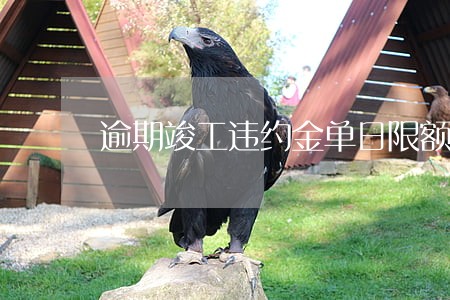 逾期竣工违约金单日限额 逾期竣工违约金单日限额