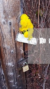 逾期竣工违约金合同条款 逾期竣工违约金合同条款