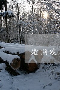 逾期竣工违约金和延期罚款 逾期竣工违约金和延期罚款