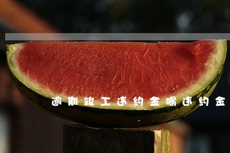 逾期竣工违约金喝违约金 逾期竣工违约金喝违约金