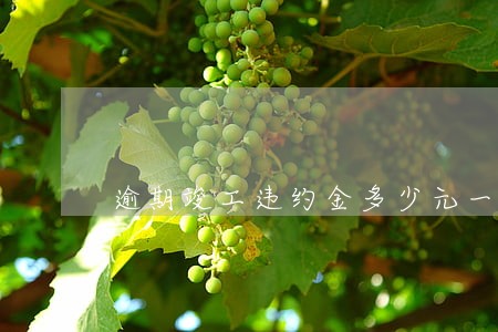 逾期竣工违约金多少元一天 逾期竣工违约金多少元一天