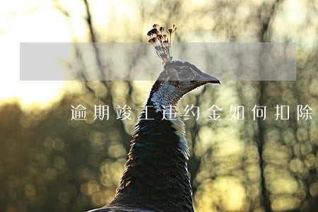 逾期竣工违约金如何扣除 逾期竣工违约金如何扣除