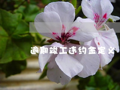 逾期竣工违约金定义 逾期竣工违约金定义