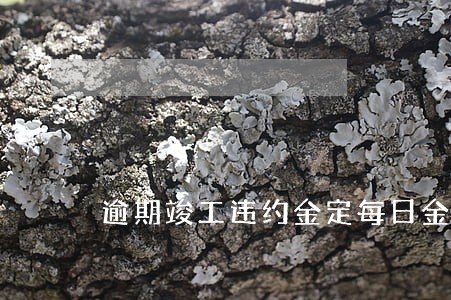 逾期竣工违约金定每日金额 逾期竣工违约金定每日金额