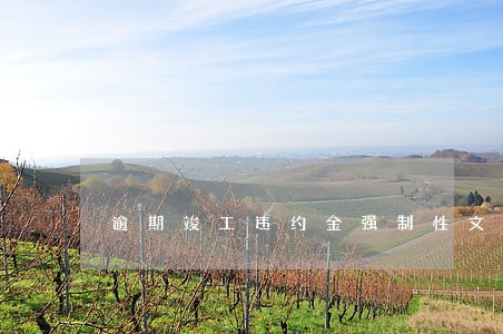 逾期竣工违约金强制性文件 逾期竣工违约金强制性文件