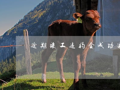 逾期竣工违约金成功案例 逾期竣工违约金成功案例