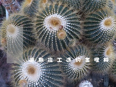 逾期竣工违约金搜狗