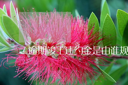 逾期竣工违约金是由谁规定 逾期竣工违约金是由谁规定