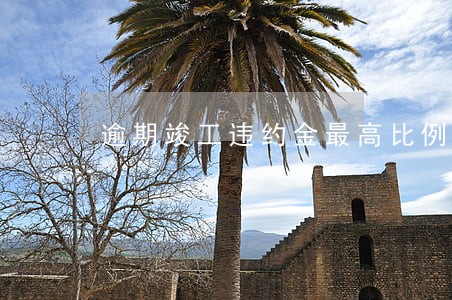 逾期竣工违约金最高比例 逾期竣工违约金最高比例