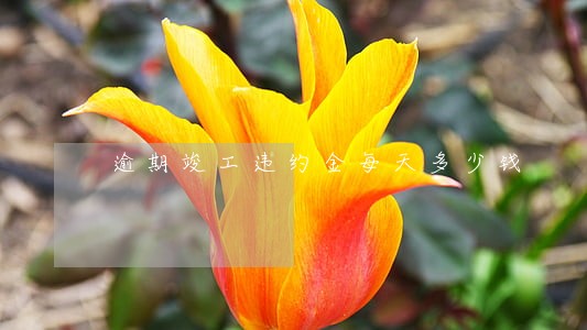 逾期竣工违约金每天多少钱 逾期竣工违约金每天多少钱