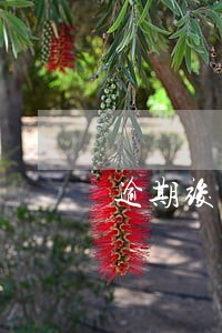 逾期竣工违约金每天额度 逾期竣工违约金每天额度
