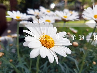 逾期竣工违约金的上限3 逾期竣工违约金的上限3