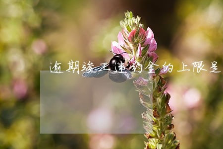 逾期竣工违约金的上限是多少 逾期竣工违约金的上限是多少