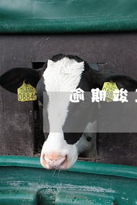 逾期竣工违约金的每天上限 逾期竣工违约金的每天上限