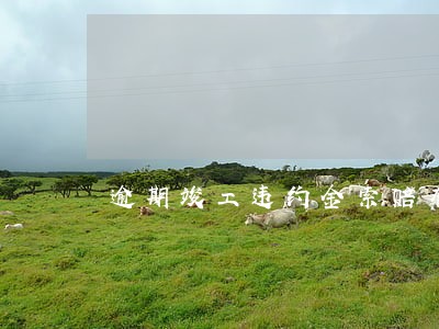 逾期竣工违约金索赔有无期限 逾期竣工违约金索赔有无期限