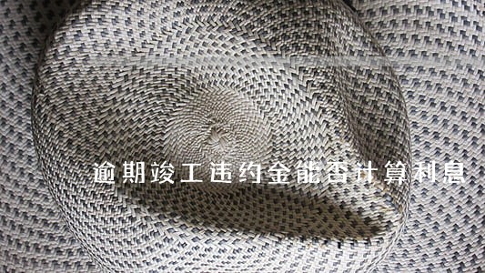 逾期竣工违约金能否计算利息 逾期竣工违约金能否计算利息