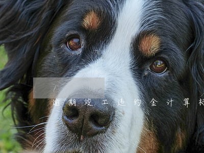 逾期竣工违约金计算标准 逾期竣工违约金计算标准