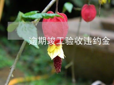 逾期竣工验收违约金 逾期竣工验收违约金