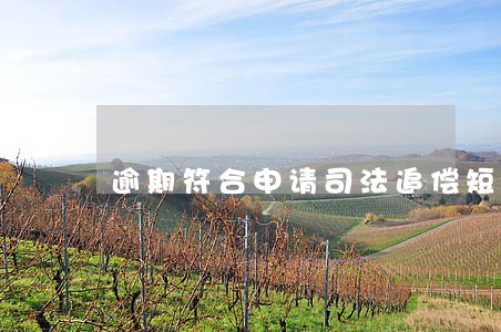 逾期符合申请司法追偿短信 逾期符合申请司法追偿短信