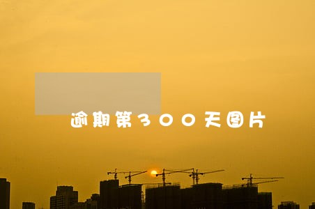 逾期第300天图片 逾期第300天图片