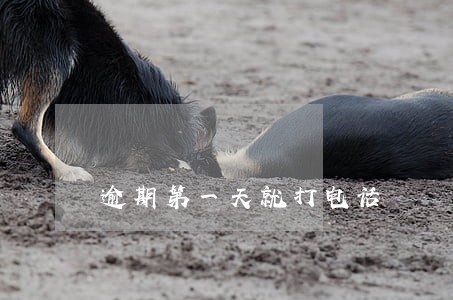 逾期第一天就打电话 逾期第一天就打电话