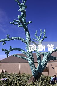 逾期第一天拨打紧急联系人 逾期第一天拨打紧急联系人