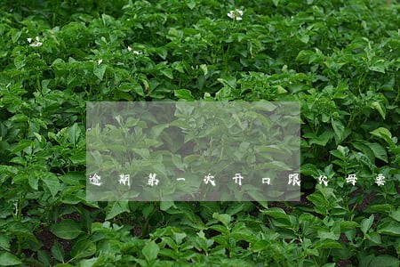 逾期第一次开口跟父母要钱 逾期第一次开口跟父母要钱