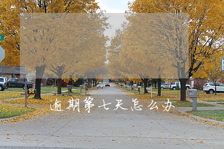 逾期第七天怎么办 逾期第七天怎么办