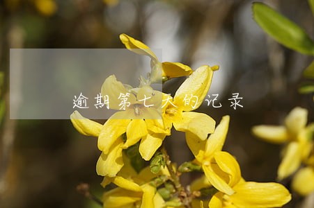 逾期第七天的记录 逾期第七天的记录