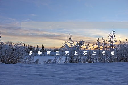 逾期第三天上不上征信 逾期第三天上不上征信