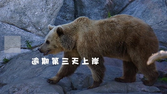 逾期第三天上岸 逾期第三天上岸