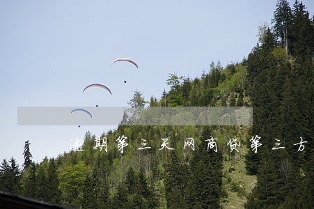 逾期第三天网商贷第三方催账 逾期第三天网商贷第三方催账