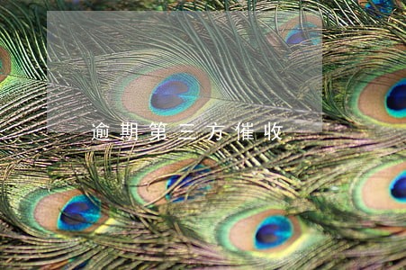 逾期第三方催收 逾期第三方催收