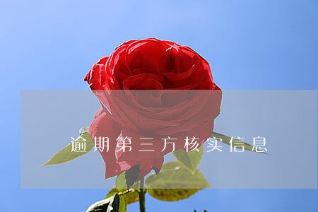 逾期第三方核实信息 逾期第三方核实信息