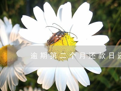 逾期第二个月还款日还款 逾期第二个月还款日还款