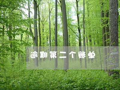 逾期第二个账单 逾期第二个账单