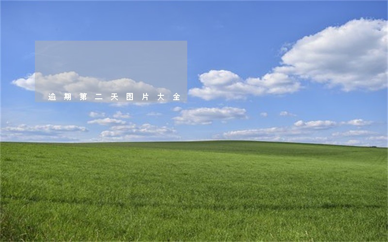 逾期第二天图片大全 逾期第二天图片大全