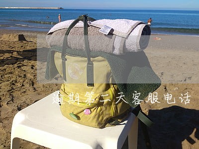 逾期第二天客服电话