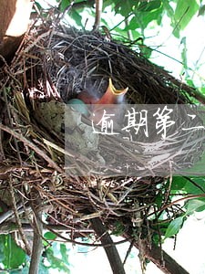 逾期第二天接到电话了 逾期第二天接到电话了