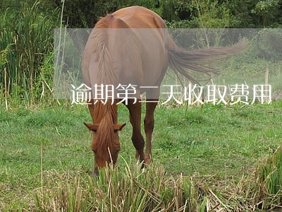 逾期第二天收取费用 逾期第二天收取费用