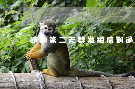 逾期第二天群发短信到通讯录 逾期第二天群发短信到通讯录