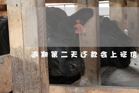 逾期第二天还款会上征信吗 逾期第二天还款会上征信吗
