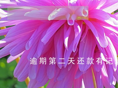 逾期第二天还款有记录么