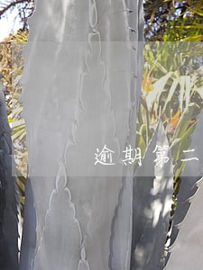 逾期第二天还贷 逾期第二天还贷