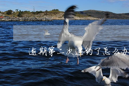 逾期第二次违约了怎么办 逾期第二次违约了怎么办