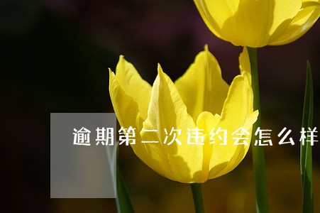 逾期第二次违约会怎么样 逾期第二次违约会怎么样