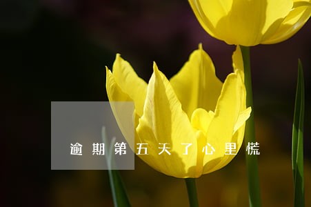 逾期第五天了心里慌 逾期第五天了心里慌