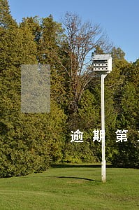 逾期第五天的案例 逾期第五天的案例
