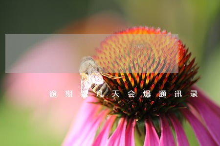 逾期第几天会爆通讯录 逾期第几天会爆通讯录